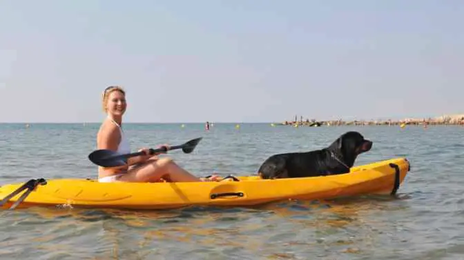 can you take a dog in an inflatable kayak