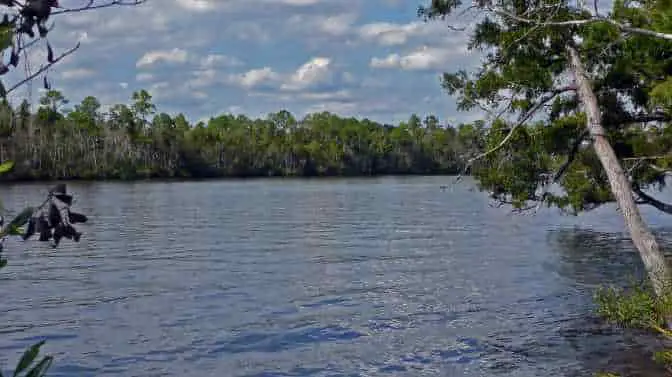 Blackwater River Florida