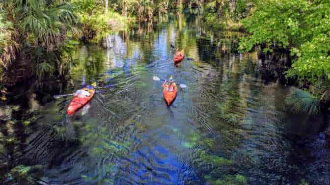 Where to Kayak in Florida Without Alligators?