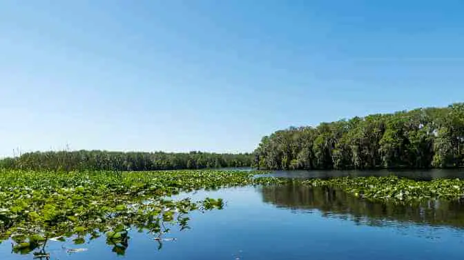 best canoe and kayak rental tours in Central Florida