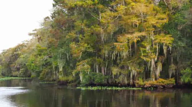 best rivers to kayak in Florida