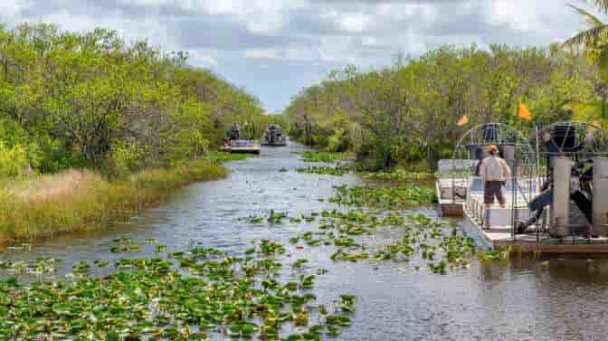 are dogs allowed at everglades national park