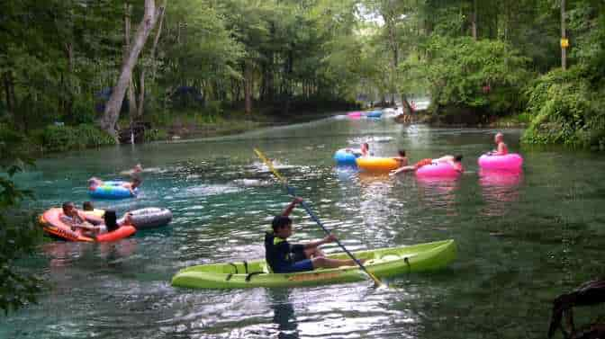 are dogs allowed at juniper springs